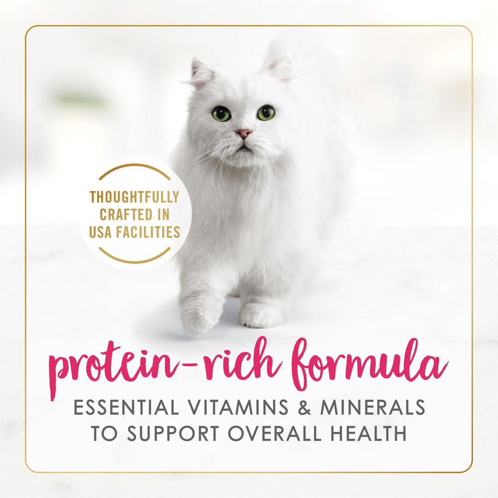 Fancy Feast cat mealtime serving photo illustrating a tempting, ready-to-serve dish.