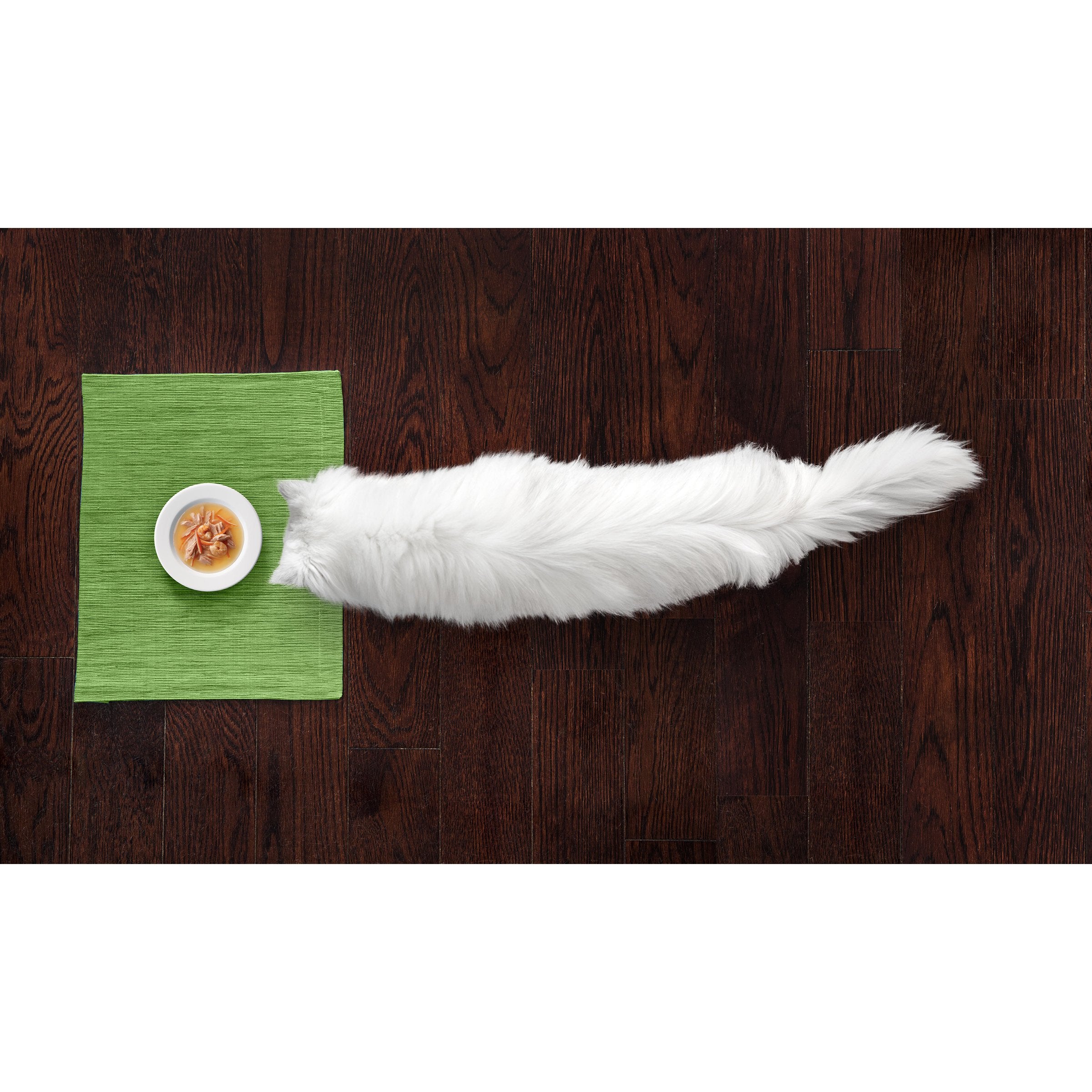 Fancy Feast Classic packaging display—consistent quality across all pouches.