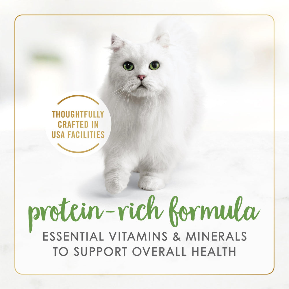 Fancy Feast close-up salmon chunks illustrate tender pieces ideal for kittens and adults.