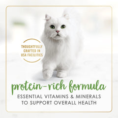 Fancy Feast close-up salmon chunks illustrate tender pieces ideal for kittens and adults.