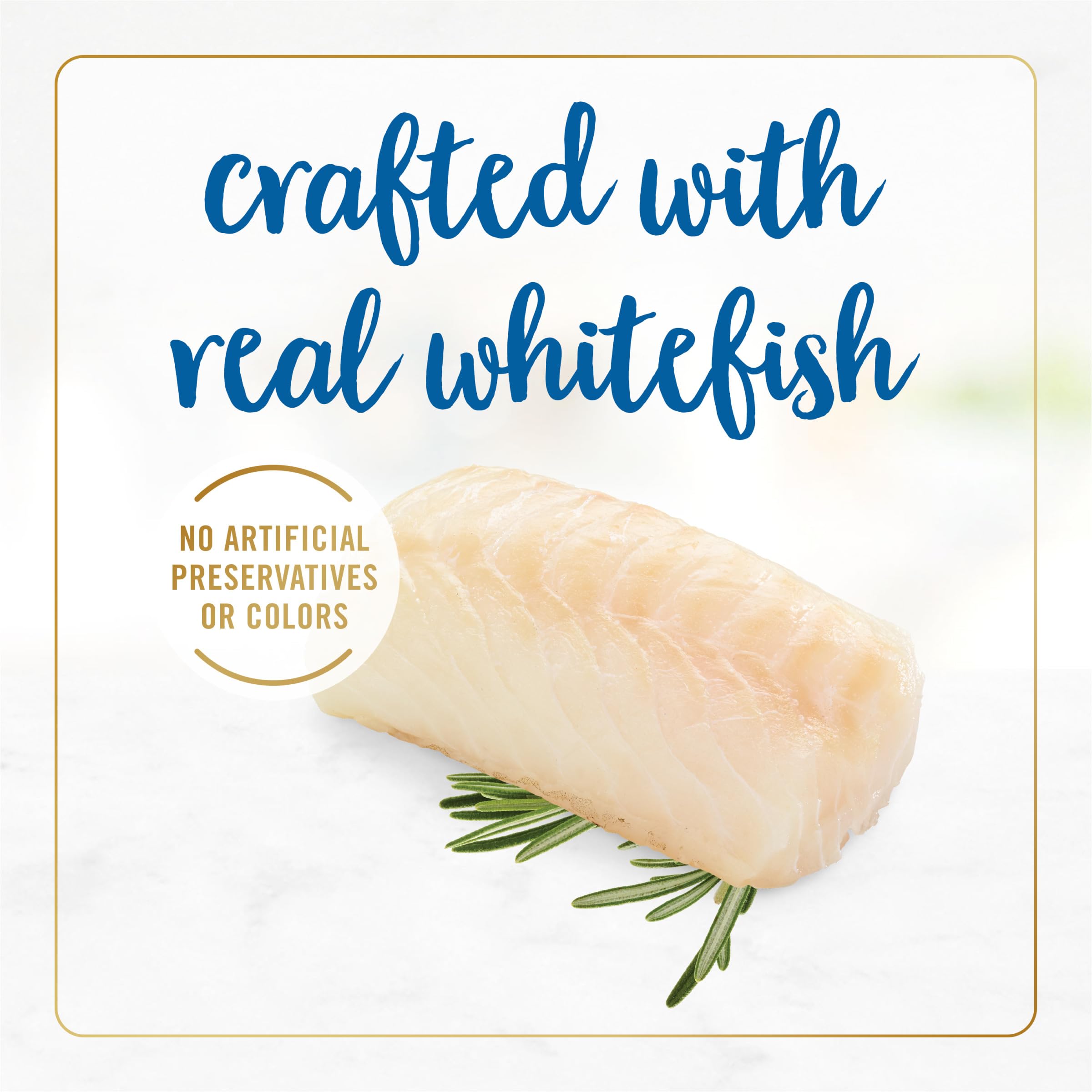 Fancy Feast Delights cheddar 24-pack cans provide convenient ongoing variety.