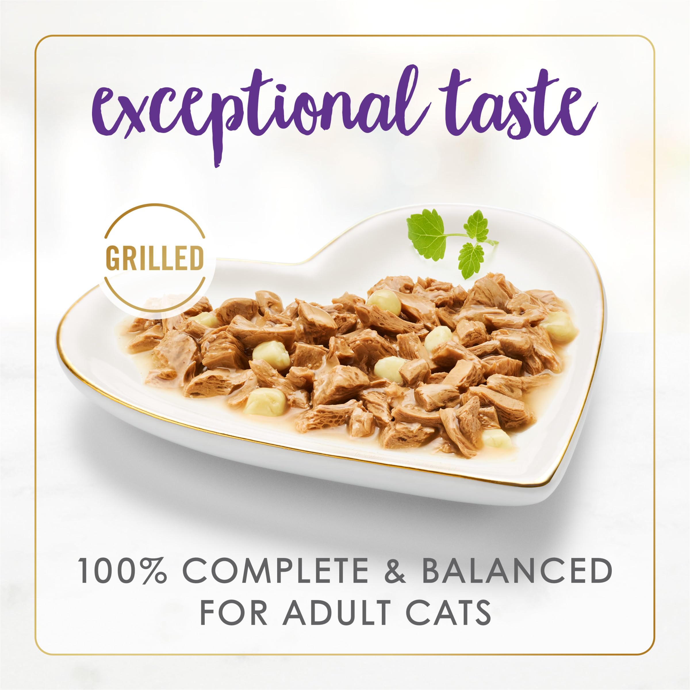 Fancy Feast Delights cheddar-turkey gravy 3oz can close-up showing glossy gravy.