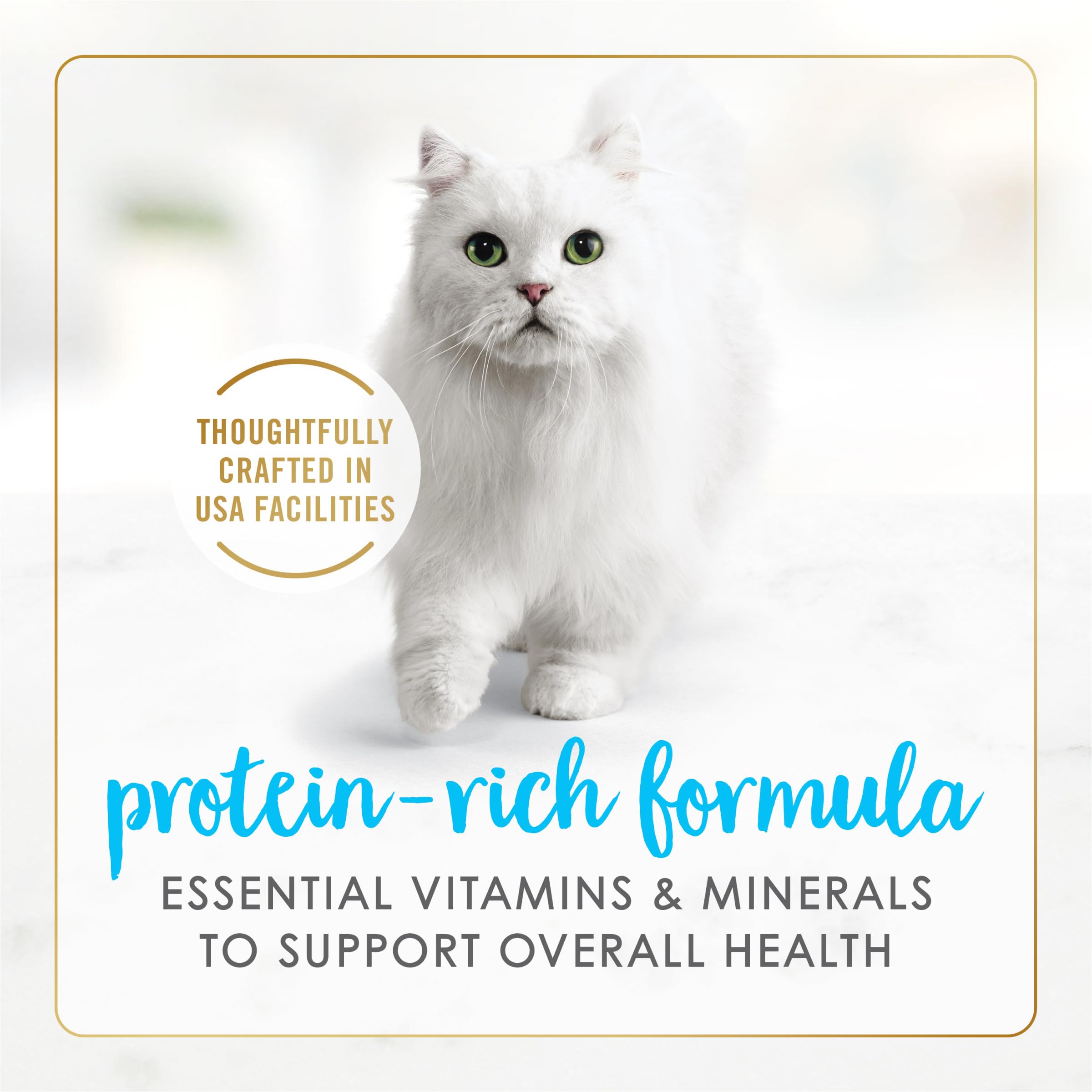 Fancy Feast Delights gravy aroma — aromas that attract cats at mealtime.