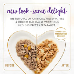 Fancy Feast Delights can with gravy and cheddar being enjoyed by a cat, highlighting savory texture.