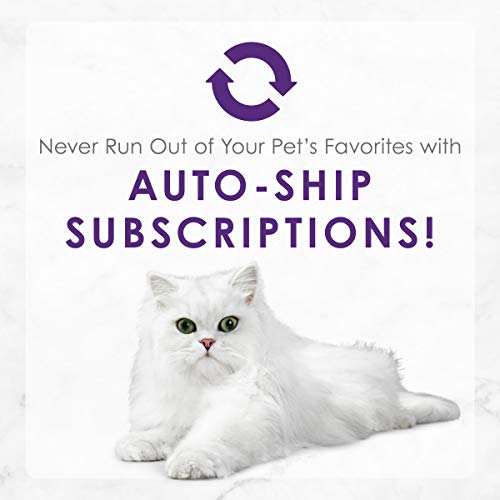 Fancy Feast Delights pack-in-box displays trusted brand quality.