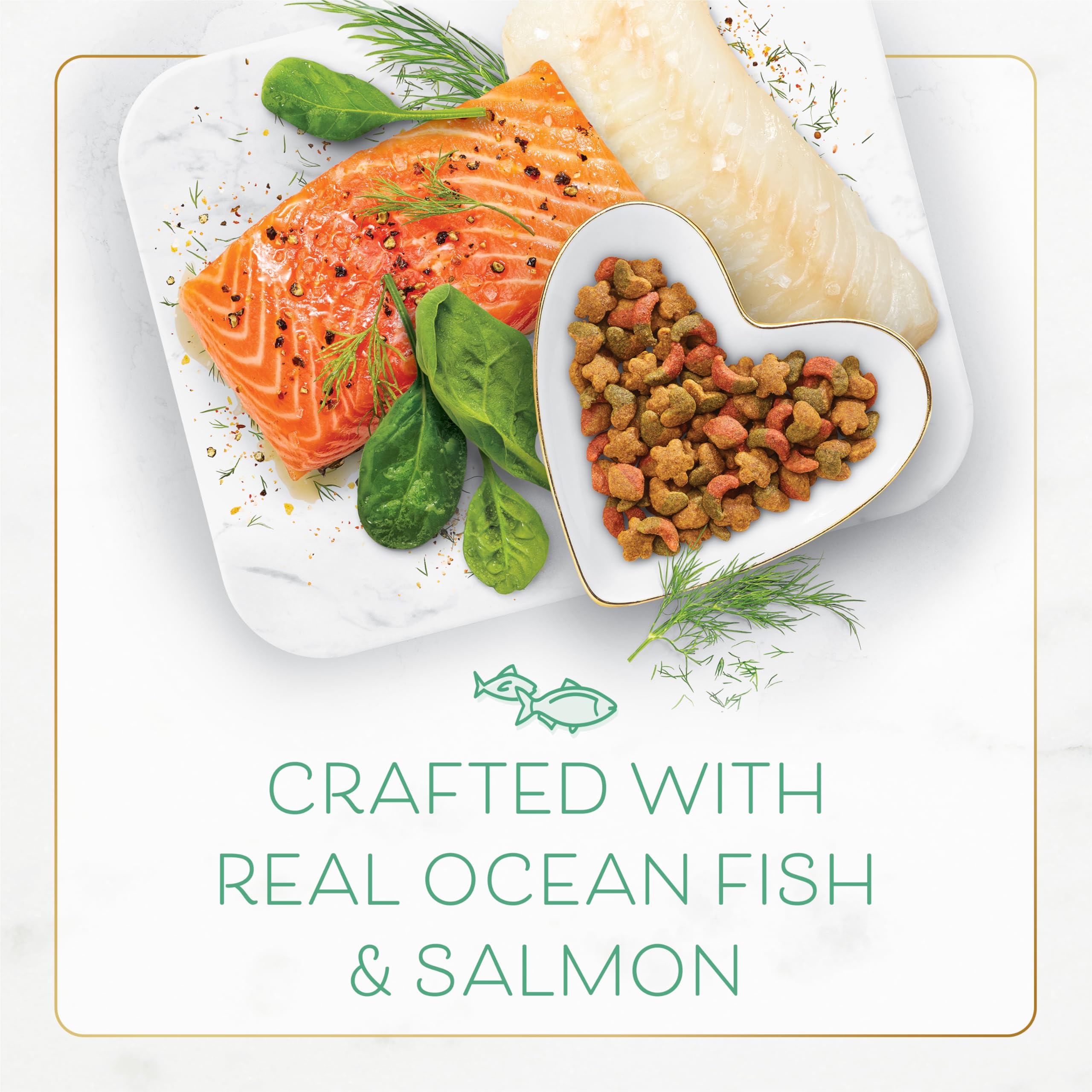 Fancy Feast gourmet dry kibble with ocean fish and salmon in three-pack