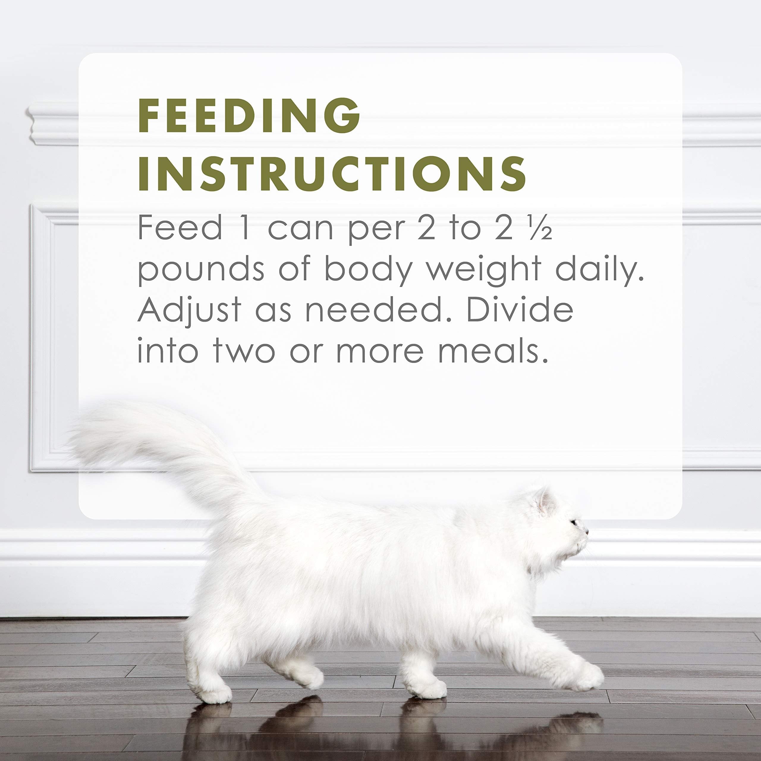 Fancy Feast Gourmet Naturals cat enjoying meal with tender chicken and gravy.