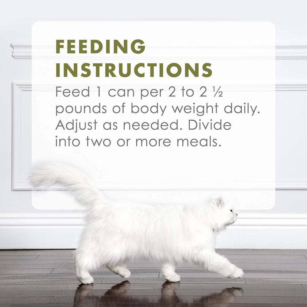 Fancy Feast Gourmet Naturals cat enjoying meal with tender chicken and gravy.