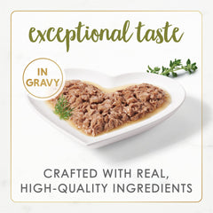 Fancy Feast Gourmet Naturals white meat chicken in gravy close-up—tasty texture cats love.