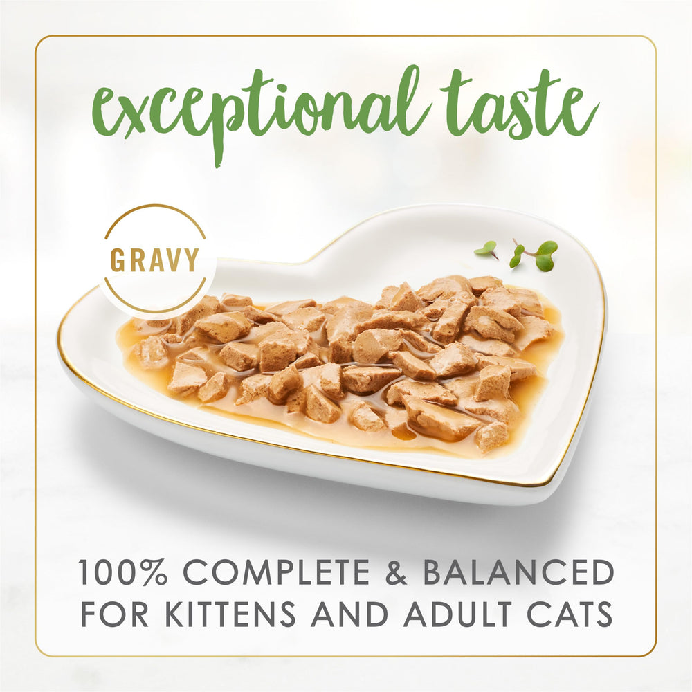 Fancy Feast Gravy Lovers bowl presentation showcases aroma-rich gravy cats crave at mealtime.