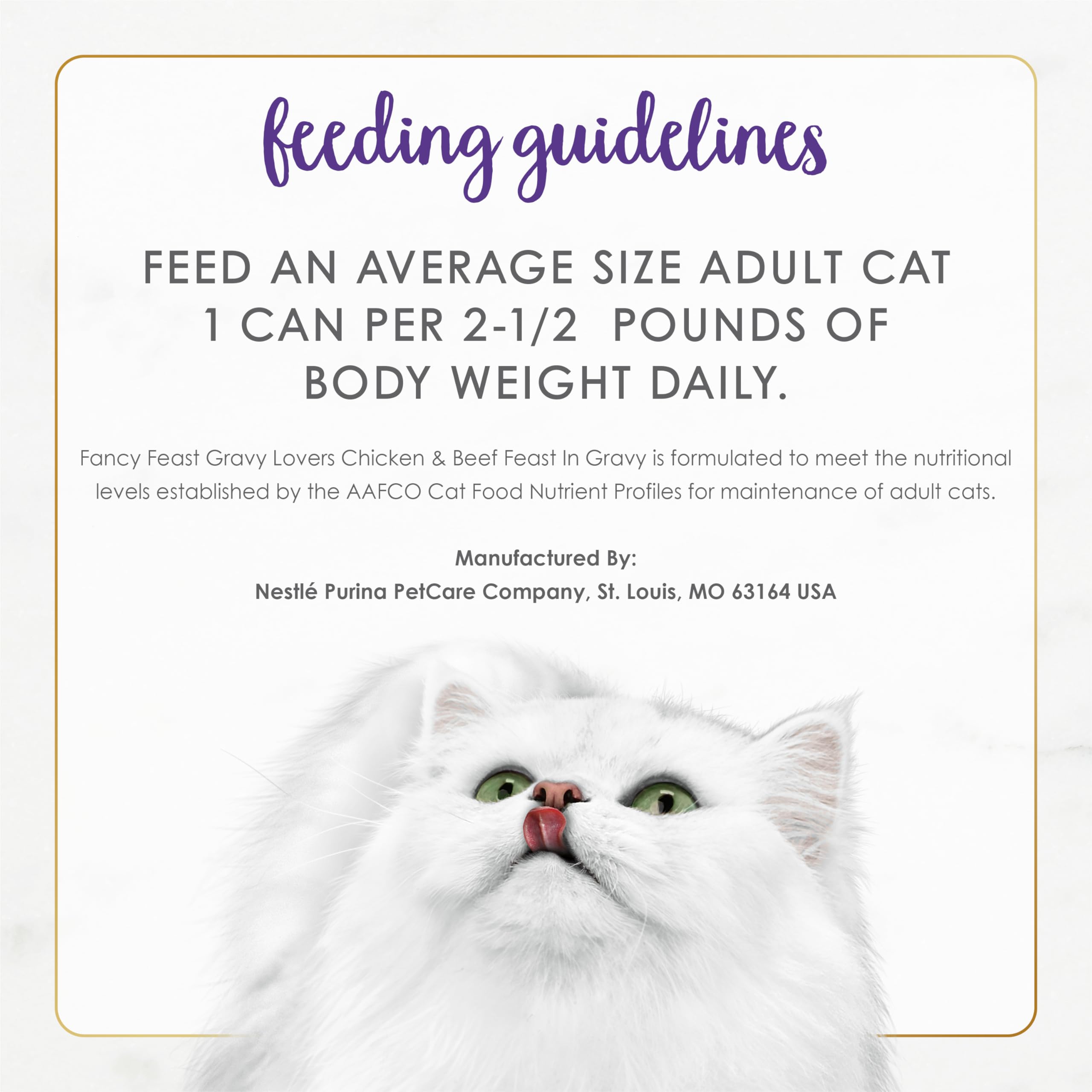 Cat enjoys Fancy Feast Gravy Lovers as a flavorful, gravy-rich meal.