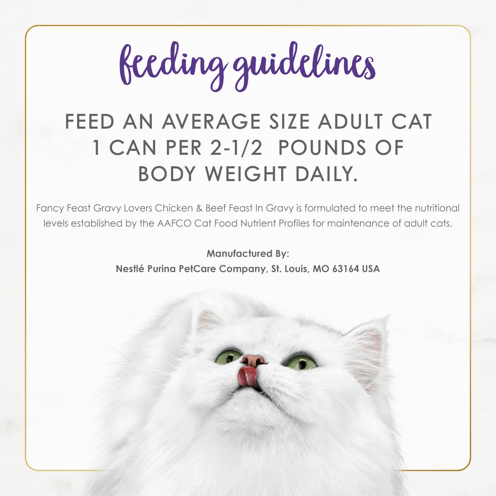 Cat enjoys Fancy Feast Gravy Lovers as a flavorful, gravy-rich meal.