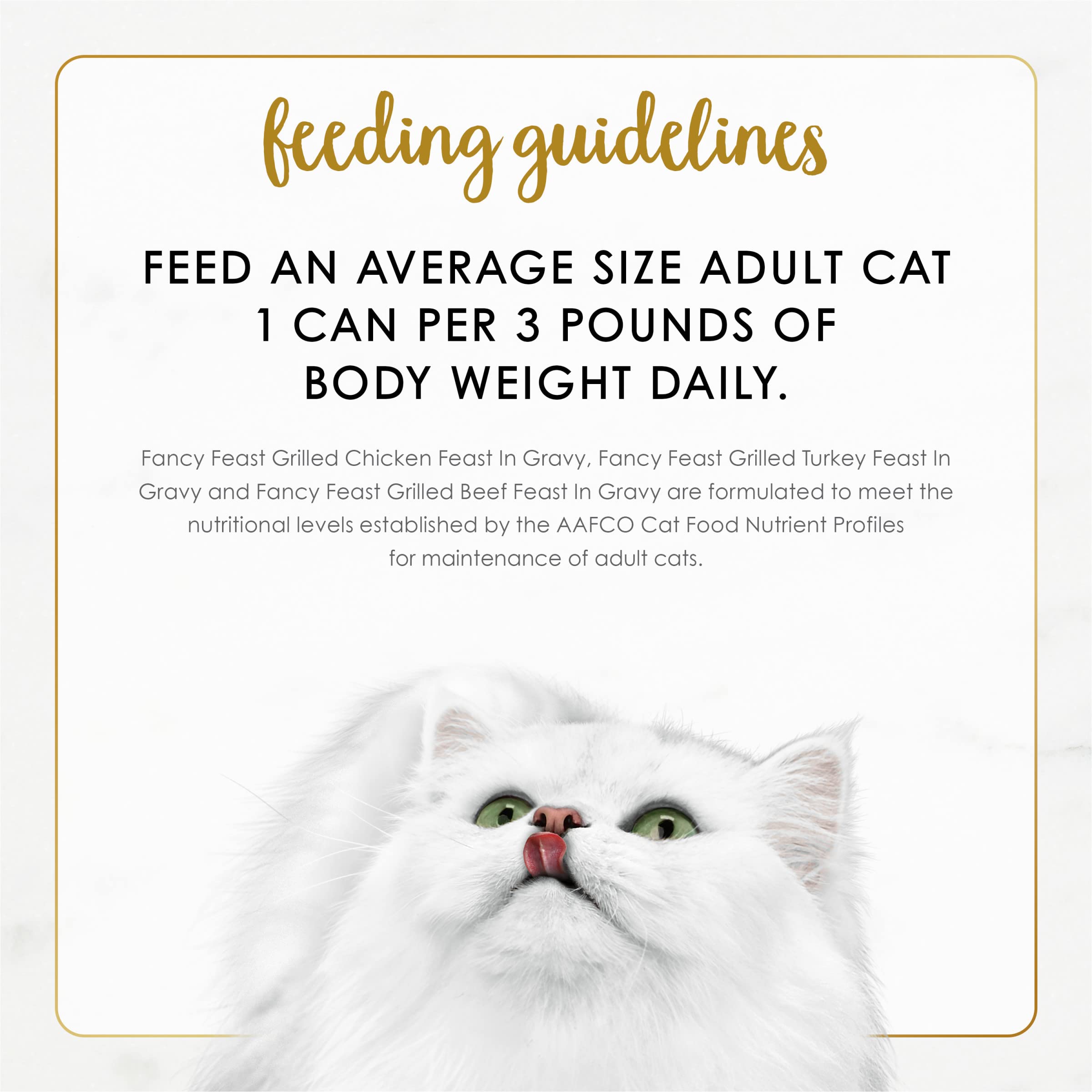 Fancy Feast Grilled mealtime bowl view—easy feeding and satisfaction
