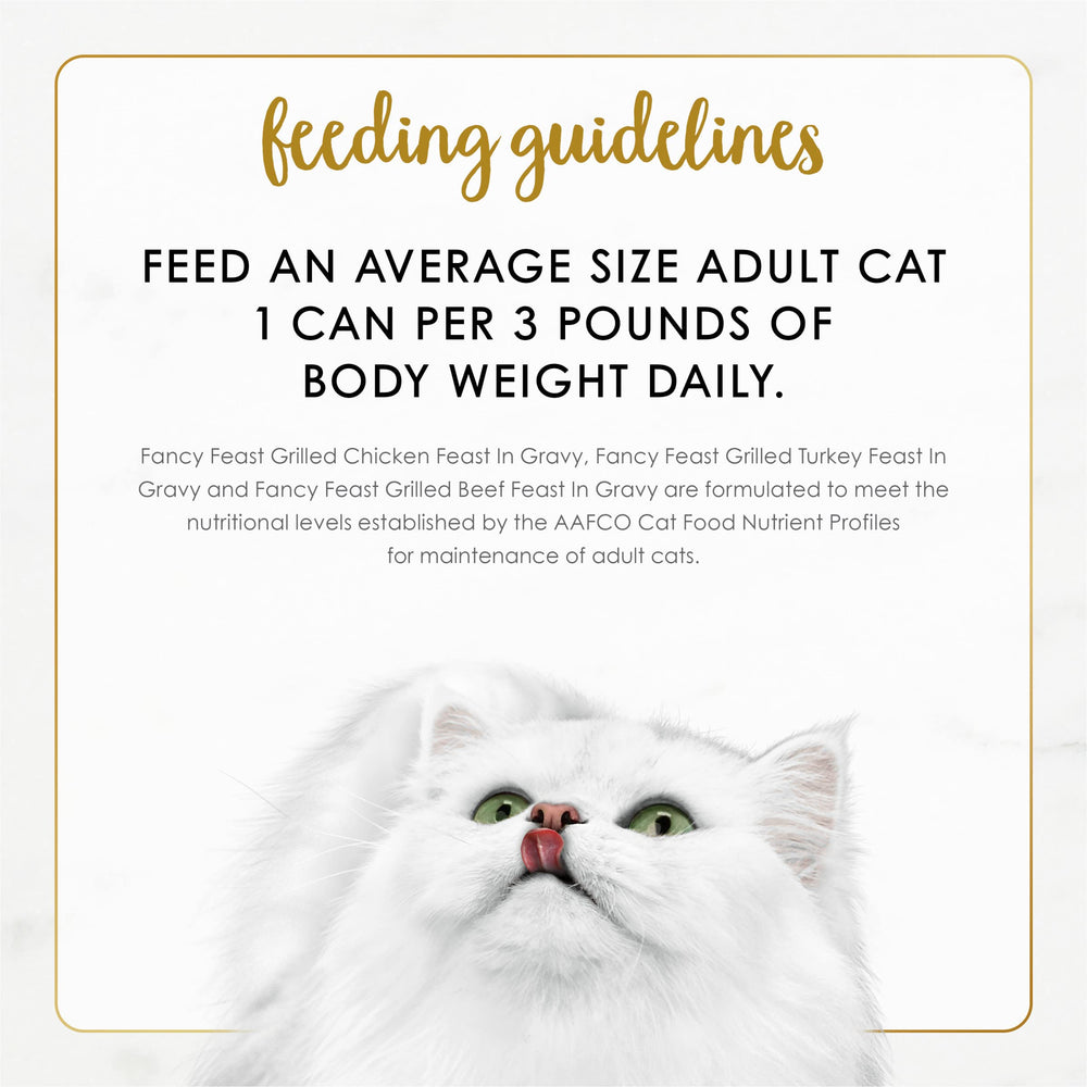 Fancy Feast Grilled mealtime bowl view—easy feeding and satisfaction