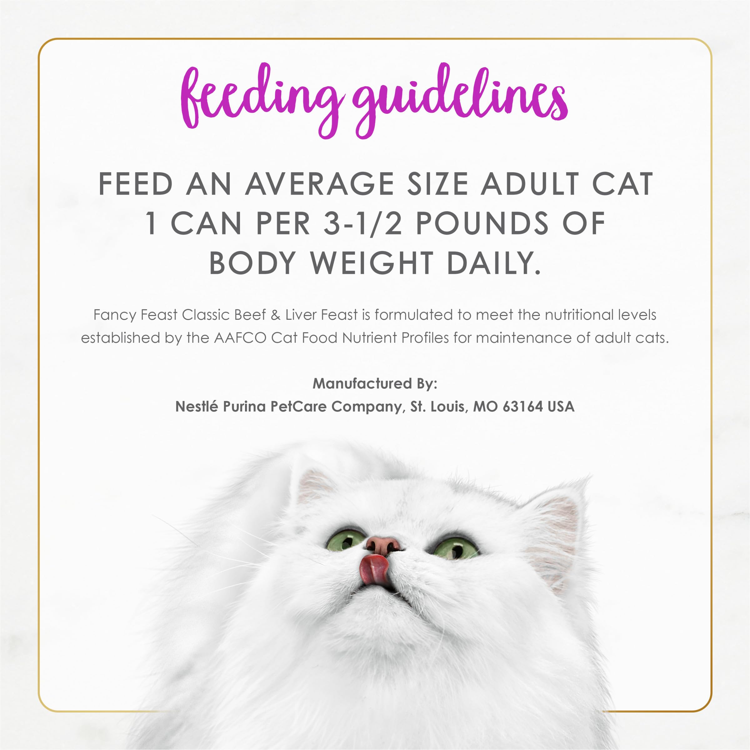 Fancy Feast happy cat mealtime image shows satisfied feline after meal