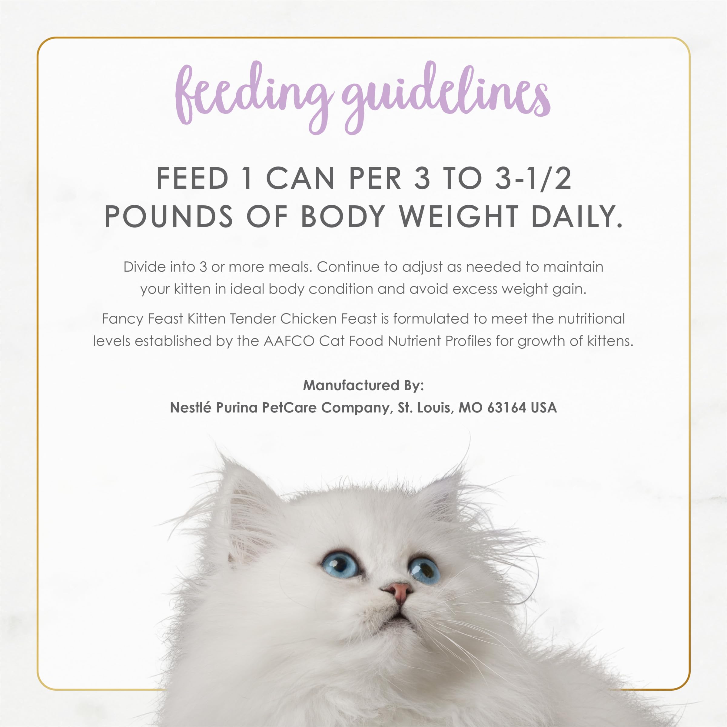 Fancy Feast kitten tender chicken serving scene with a content kitten