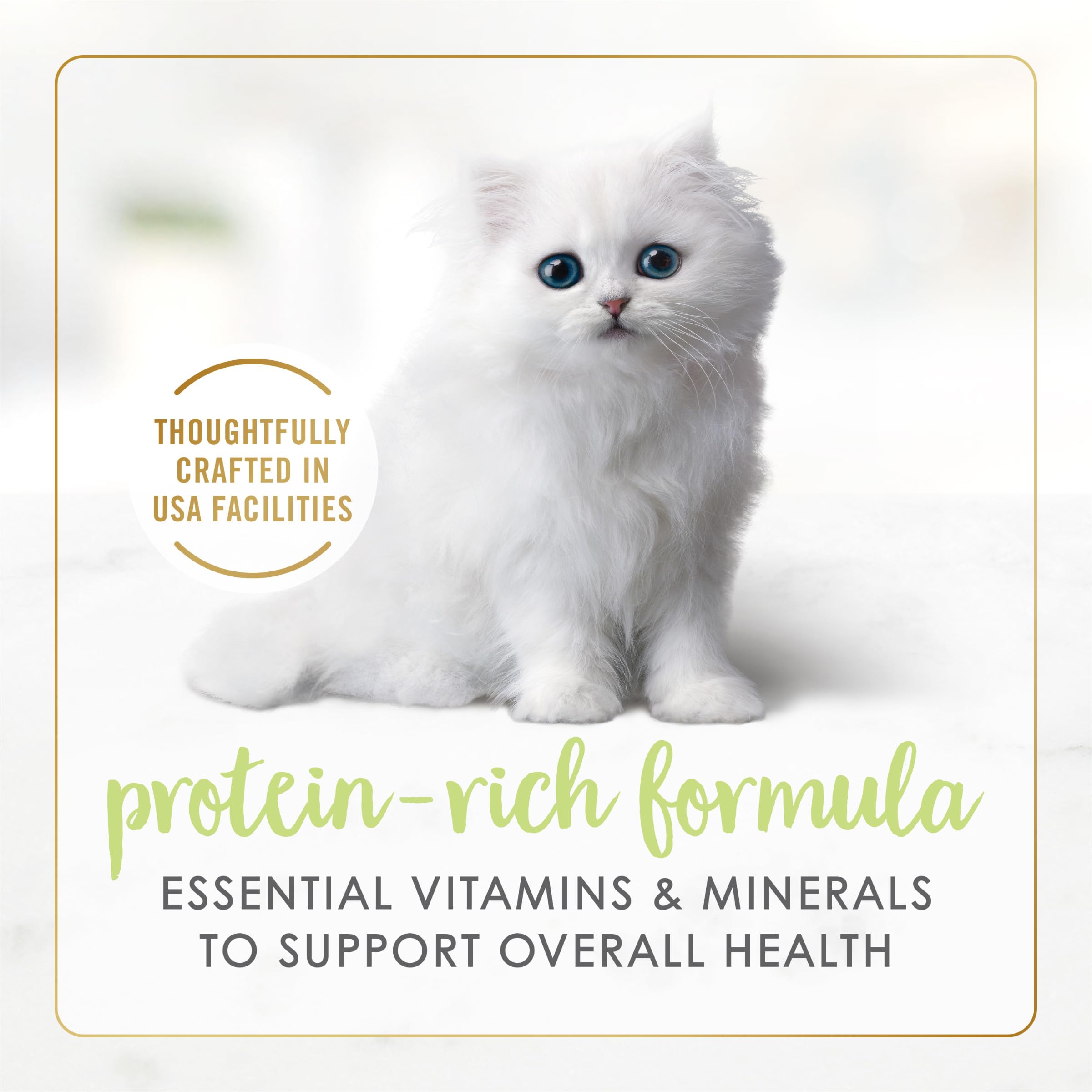 Fancy Feast Kitten Tender Turkey Feast can-label detail emphasizes no artificial colors or preservatives promise