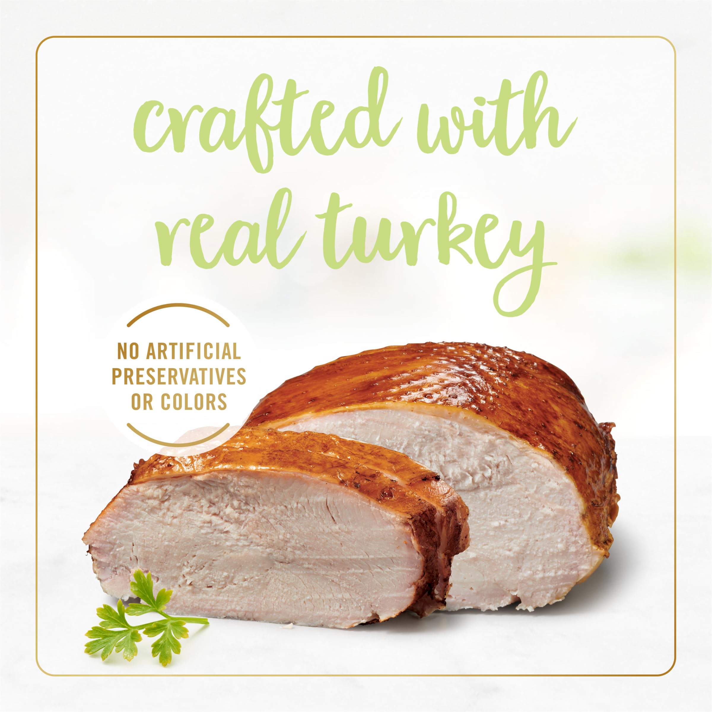 Fancy Feast Kitten Tender Turkey Feast packaging photo highlights quality manufacturing in US facilities