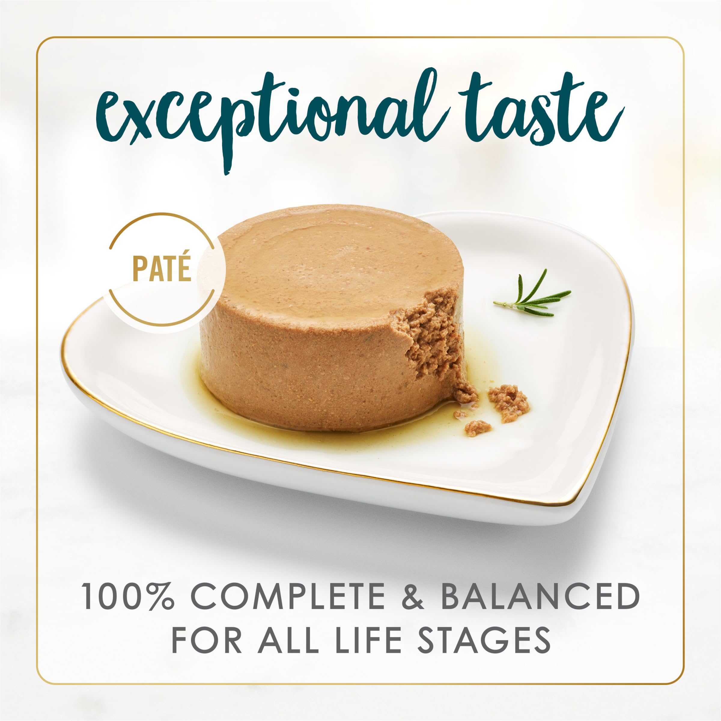 Fancy Feast pate can close-up shows real salmon and shrimp ingredients.