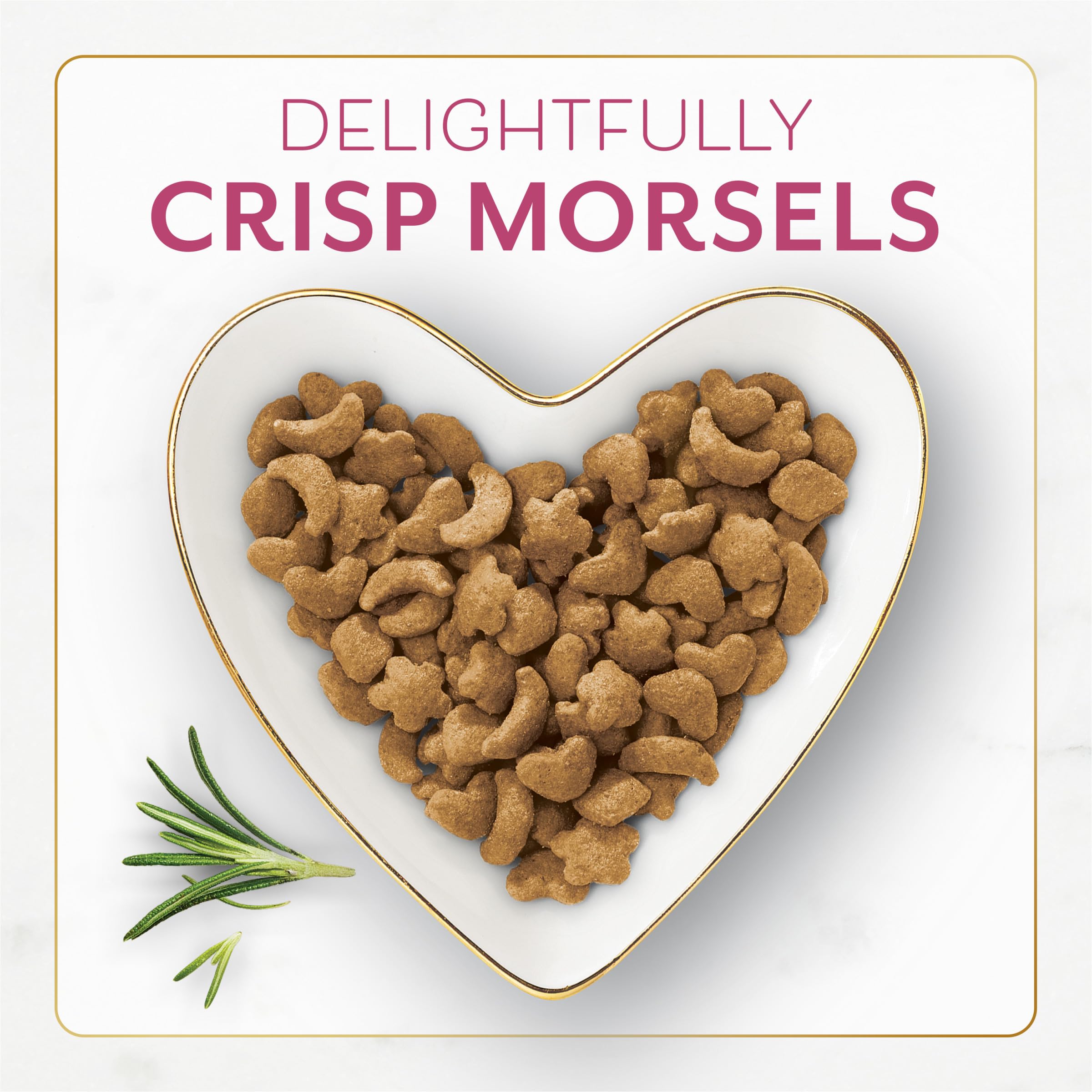 Fancy Feast Purina filet mignon dry cat food crunchy morsels appealing to picky eaters.