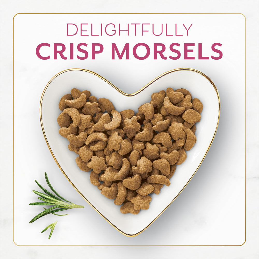 Fancy Feast Purina filet mignon dry cat food crunchy morsels appealing to picky eaters.