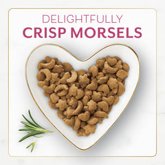 Fancy Feast Purina filet mignon dry cat food crunchy morsels appealing to picky eaters.