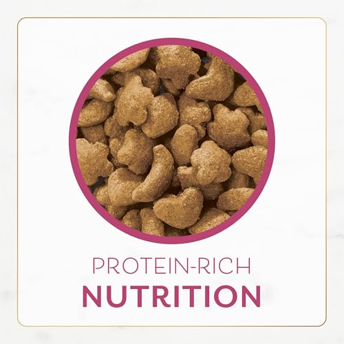 Fancy Feast Purina filet mignon dry cat food designed for pampered mealtime moments.