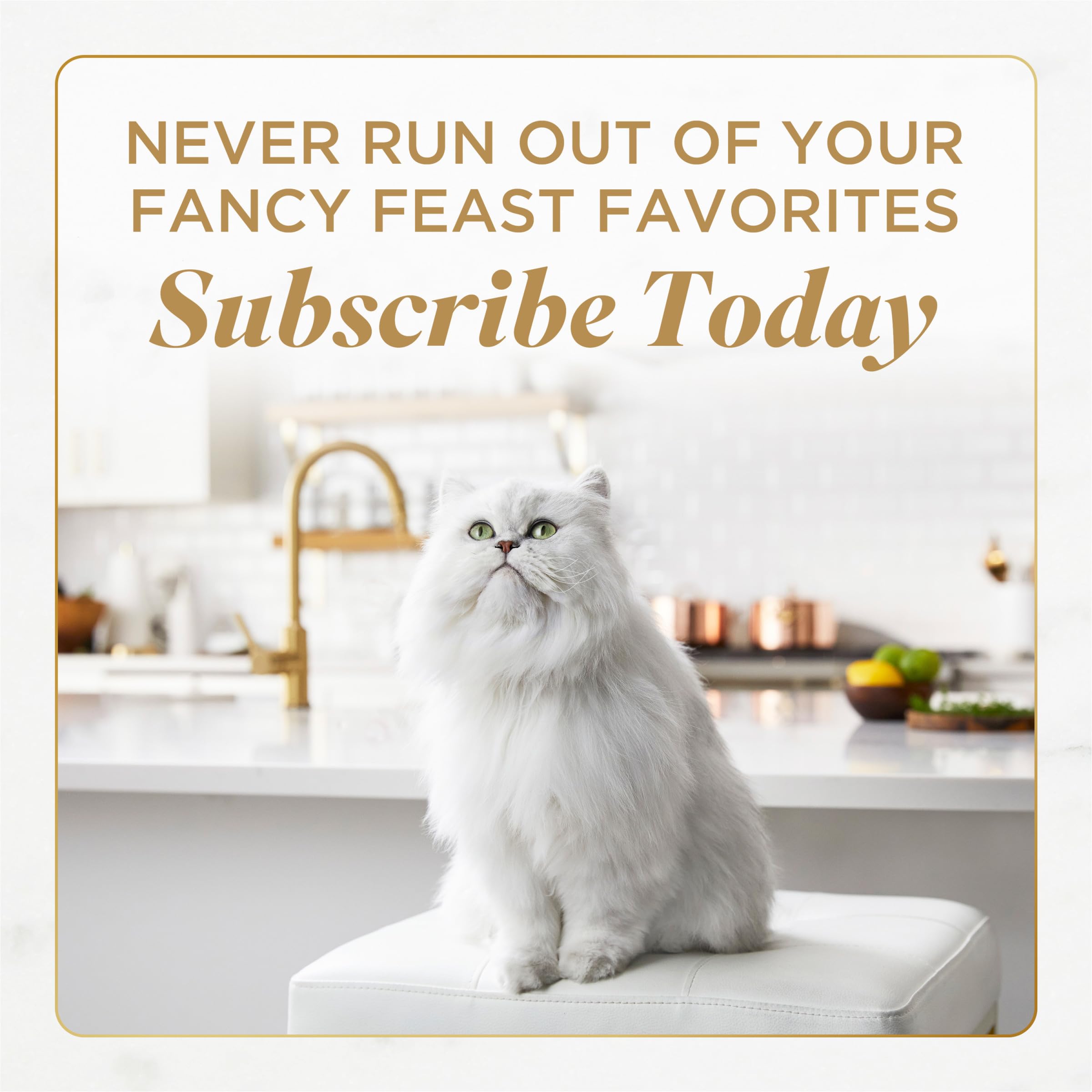 Fancy Feast Savory Centers variety-pack serving suggestion showcases four flavors.