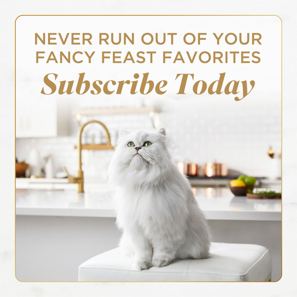 Fancy Feast Savory Centers variety-pack serving suggestion showcases four flavors.