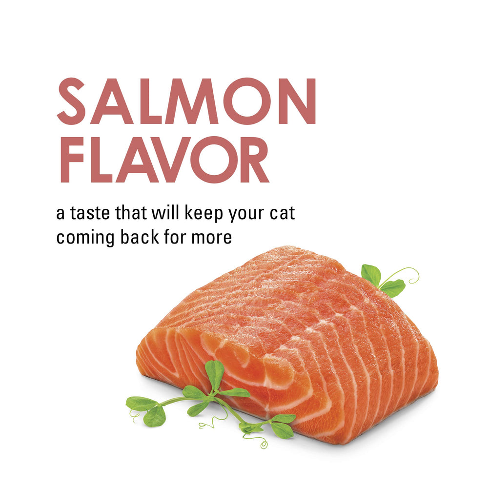 Fancy Feast Savory Cravings Salmon reclosable box keeps treats fresh between sessions.