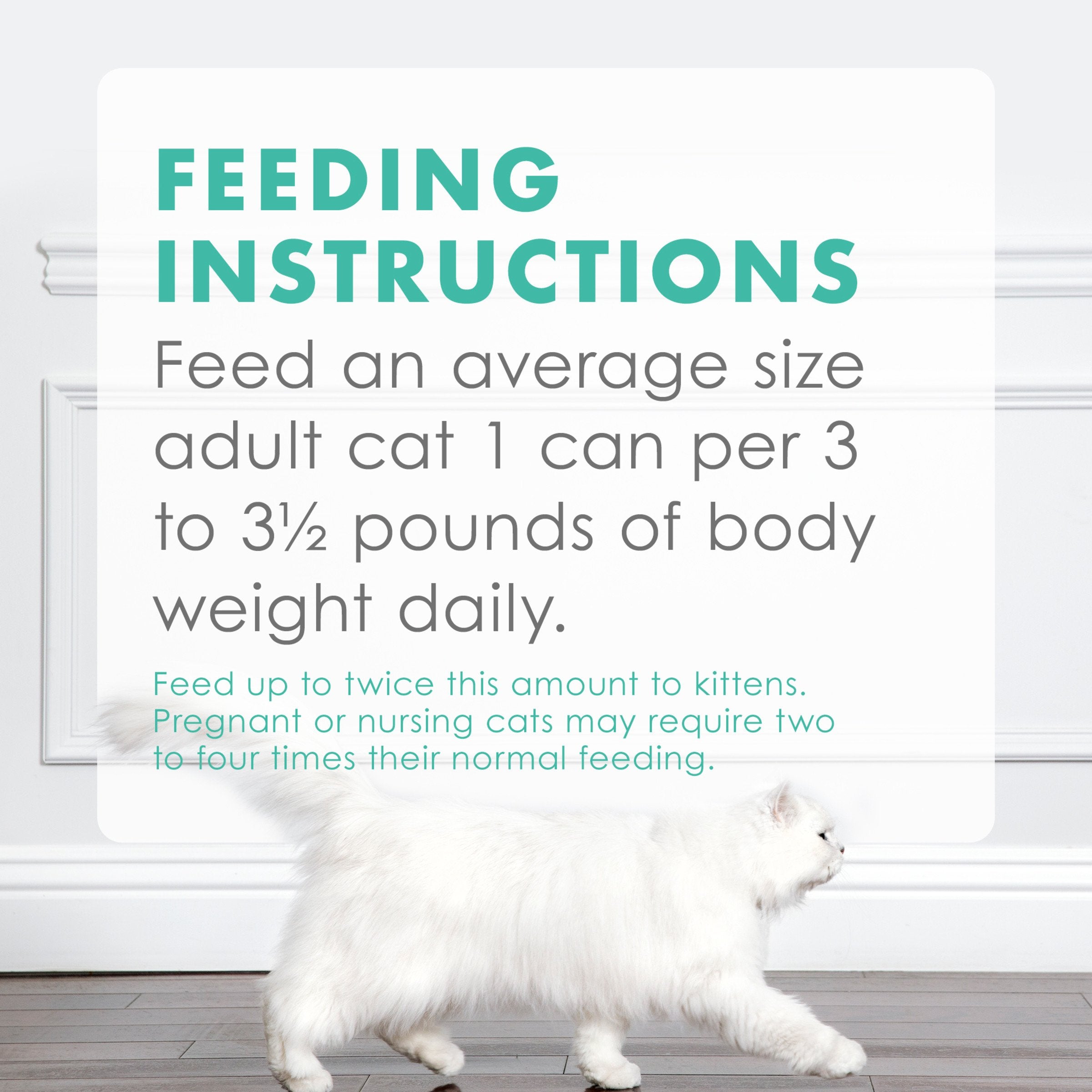 Fancy Feast Seafood Classic Pate Pack-9: nutrition-packed ingredients support overall well-being.