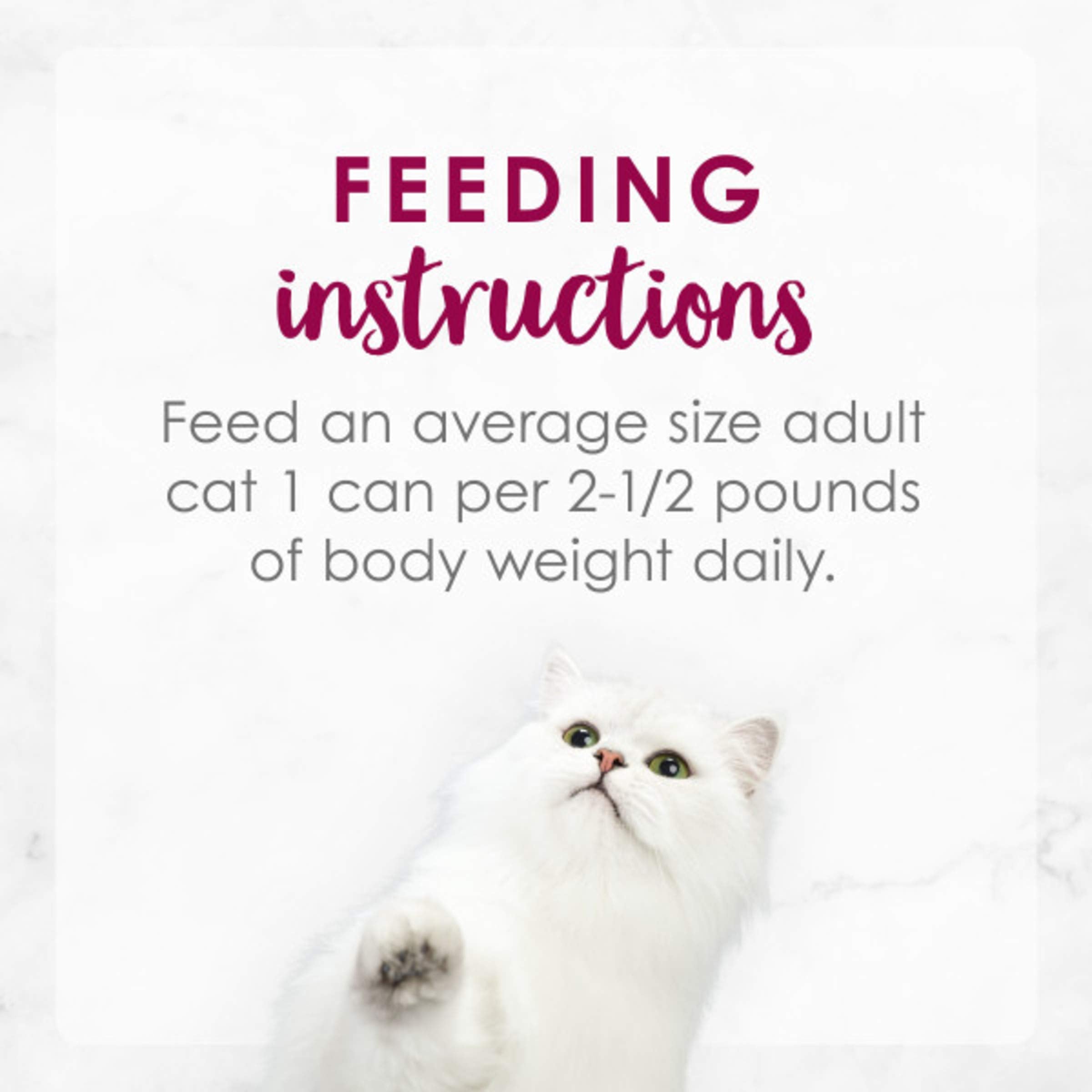 Fancy Feast 3-ounce can close-up ready-to-serve portions for quick meals.