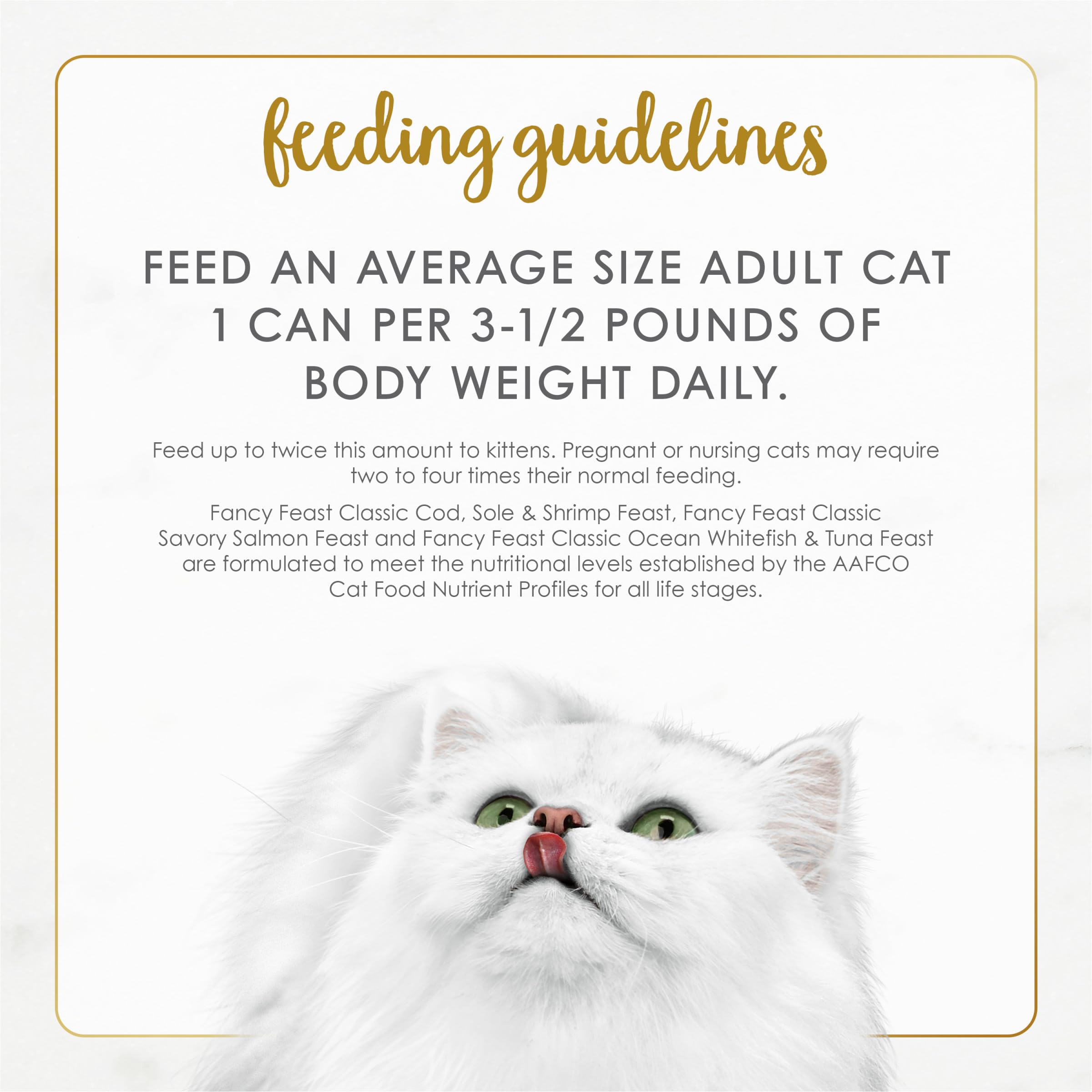 Fancy Feast serving suggestion – easy to pair with dry food for balanced meals.