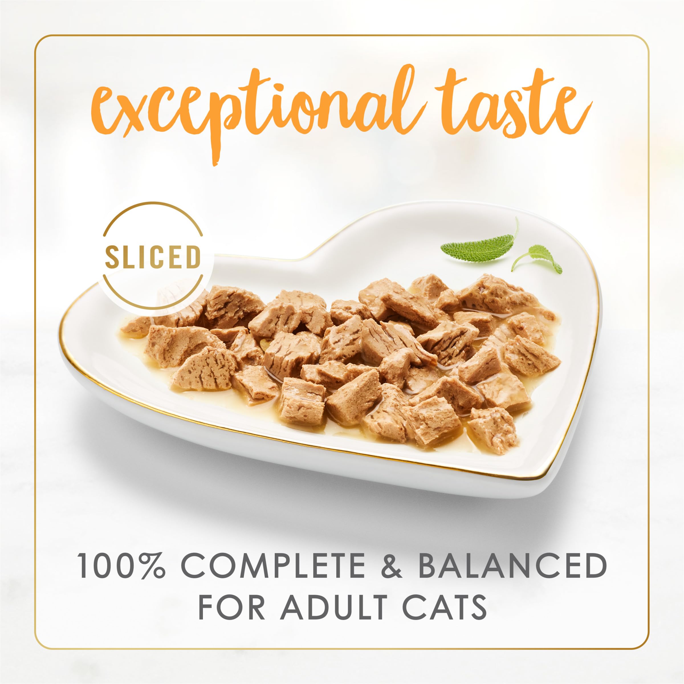 Fancy Feast Sliced Turkey Feast wet cat food gravy closeup — savory gravy enhances flavor appeal