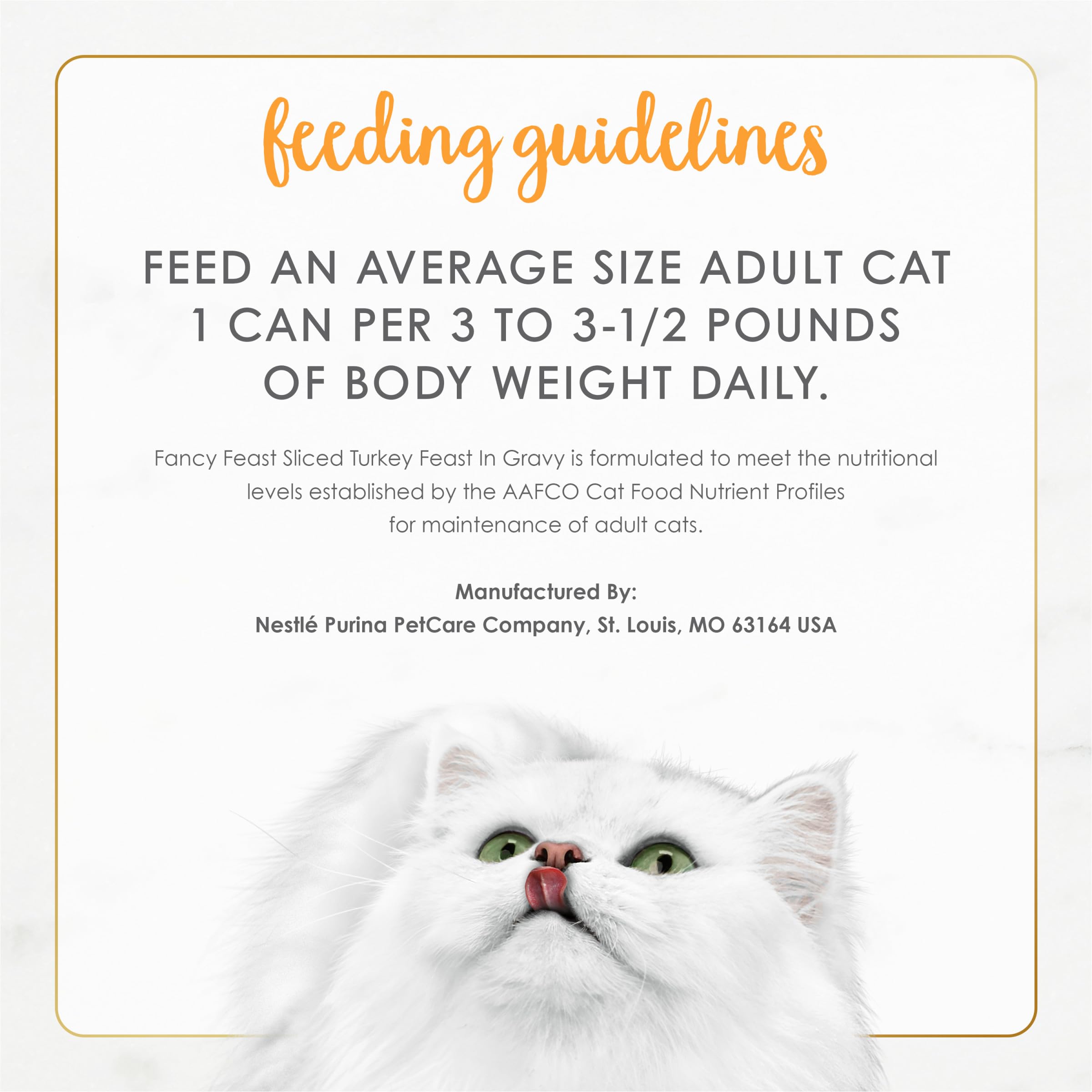 Fancy Feast soft texture closeup — easy-to-chew turkey slices for adult cats