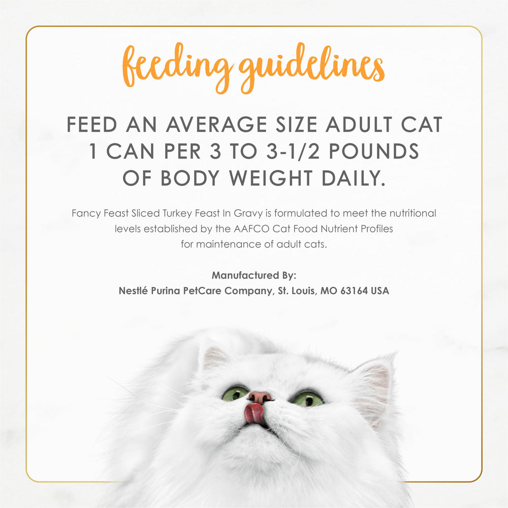 Fancy Feast soft texture closeup — easy-to-chew turkey slices for adult cats
