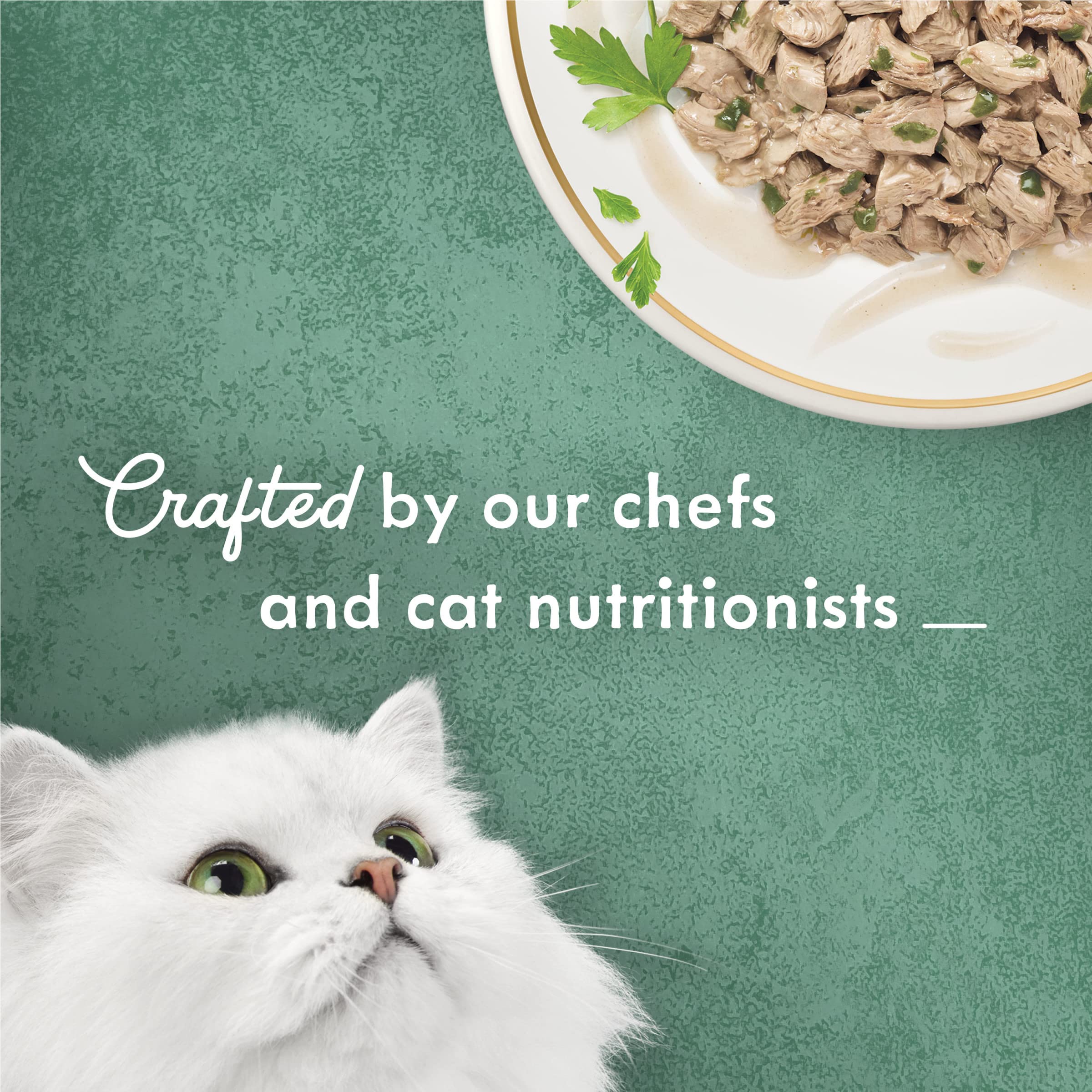 Fancy Feast Turkey Florentine served dish shows cat enjoying moisture-rich meal.