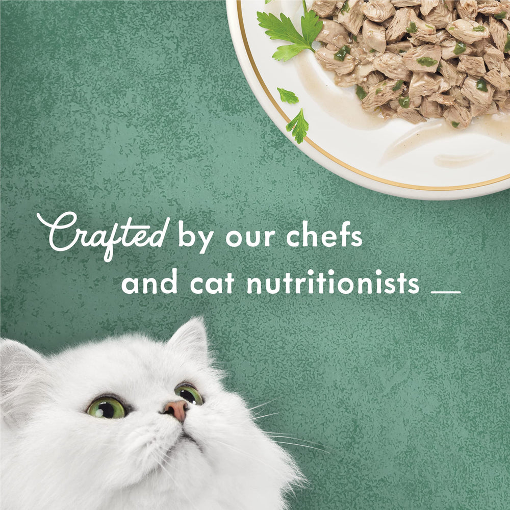 Fancy Feast Turkey Florentine served dish shows cat enjoying moisture-rich meal.