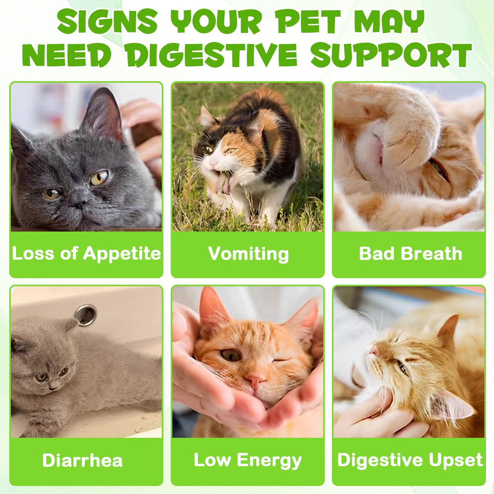 FANGCUN cat probiotics liquid dropper for daily feline digestion.