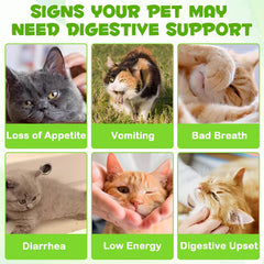 FANGCUN cat probiotics liquid dropper for daily feline digestion.