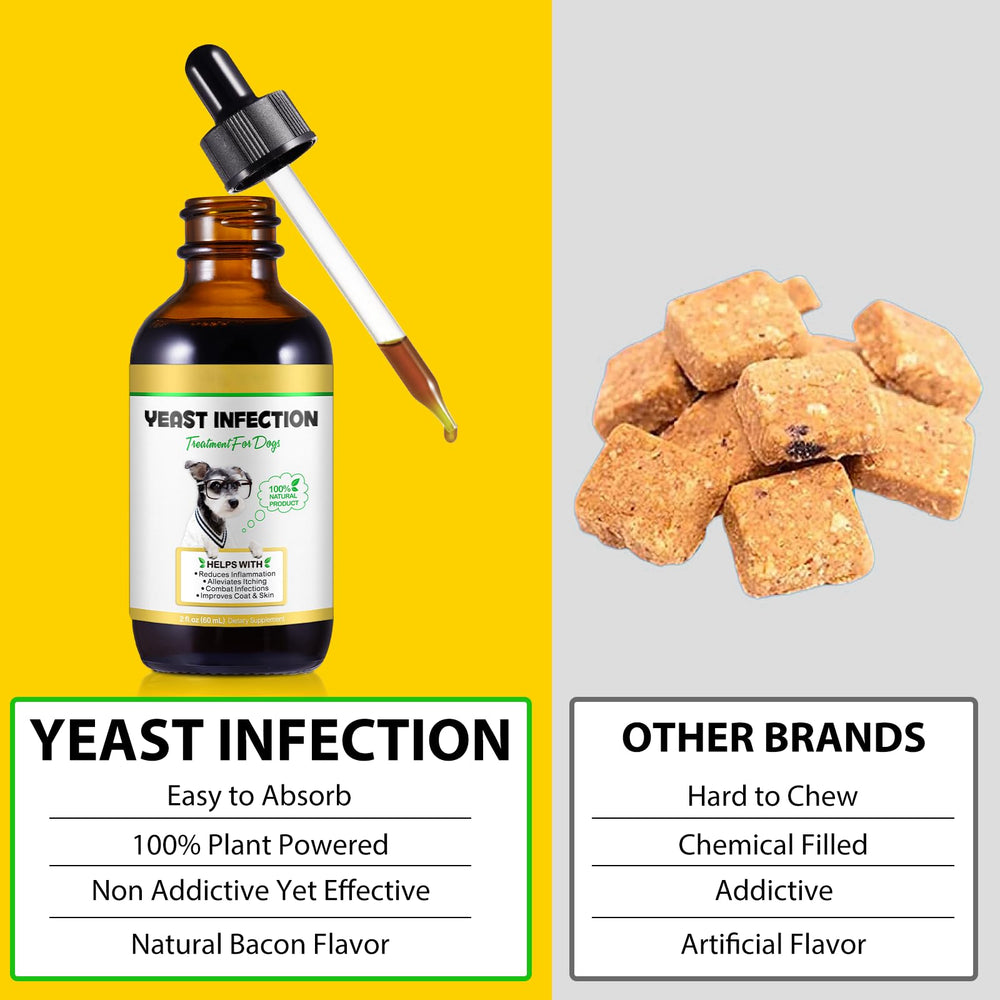FANGCUN easy-digestibility shot showing gentle formula for dogs