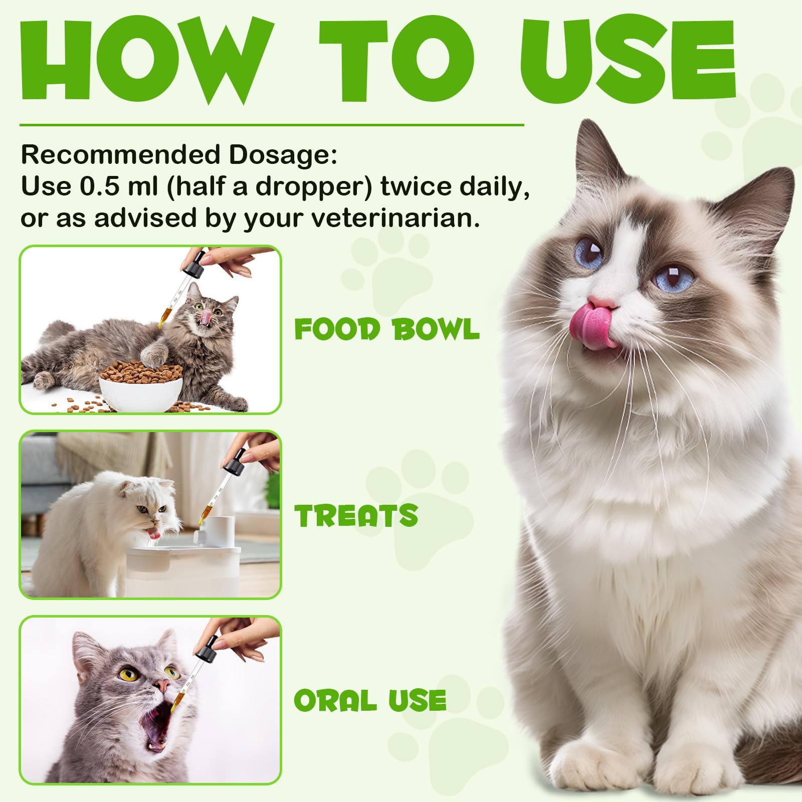 FANGCUN immune-support cat health image illustrating natural defenses.
