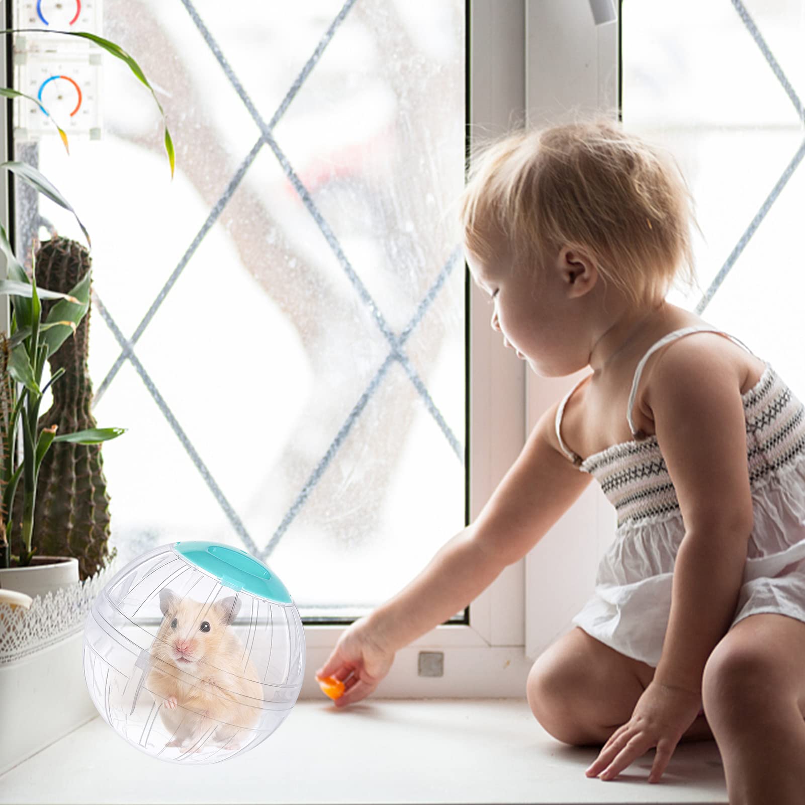 FANKUTOYS hamster ball with external tubes offers customizable exercise routes.