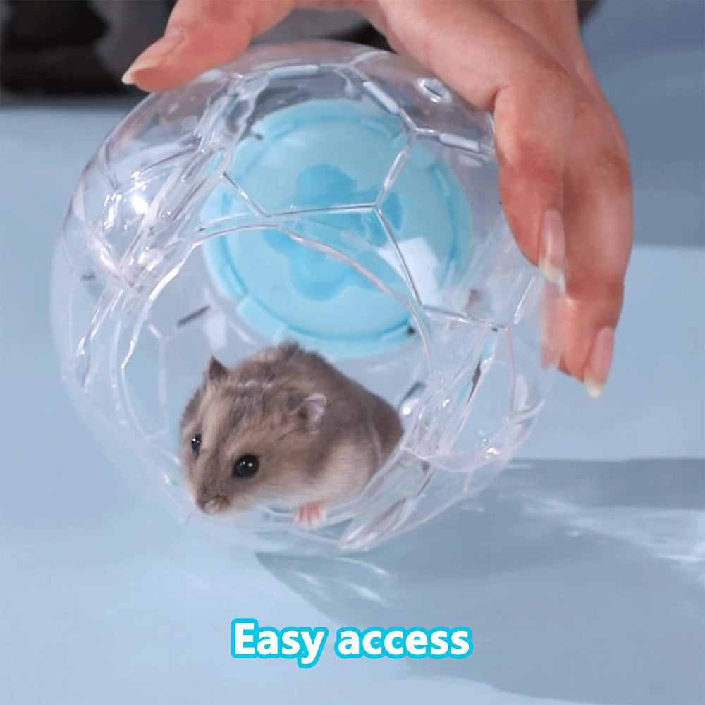 Fanlahmtasy hamster-ball-create-fun-moments captures exciting, interactive moments for pets.