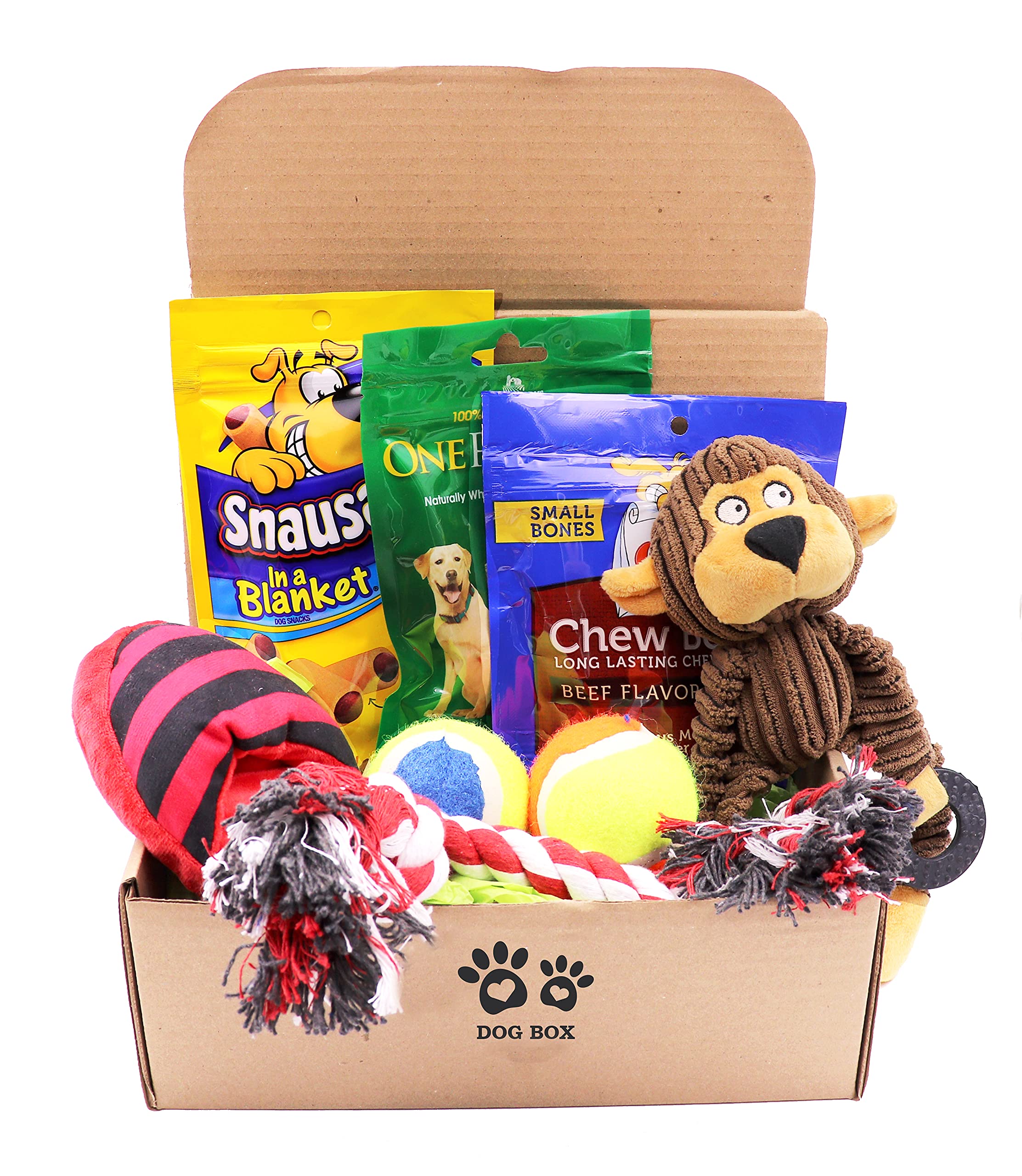 Fansco dog gift box set with assorted toys and treats for all dog sizes