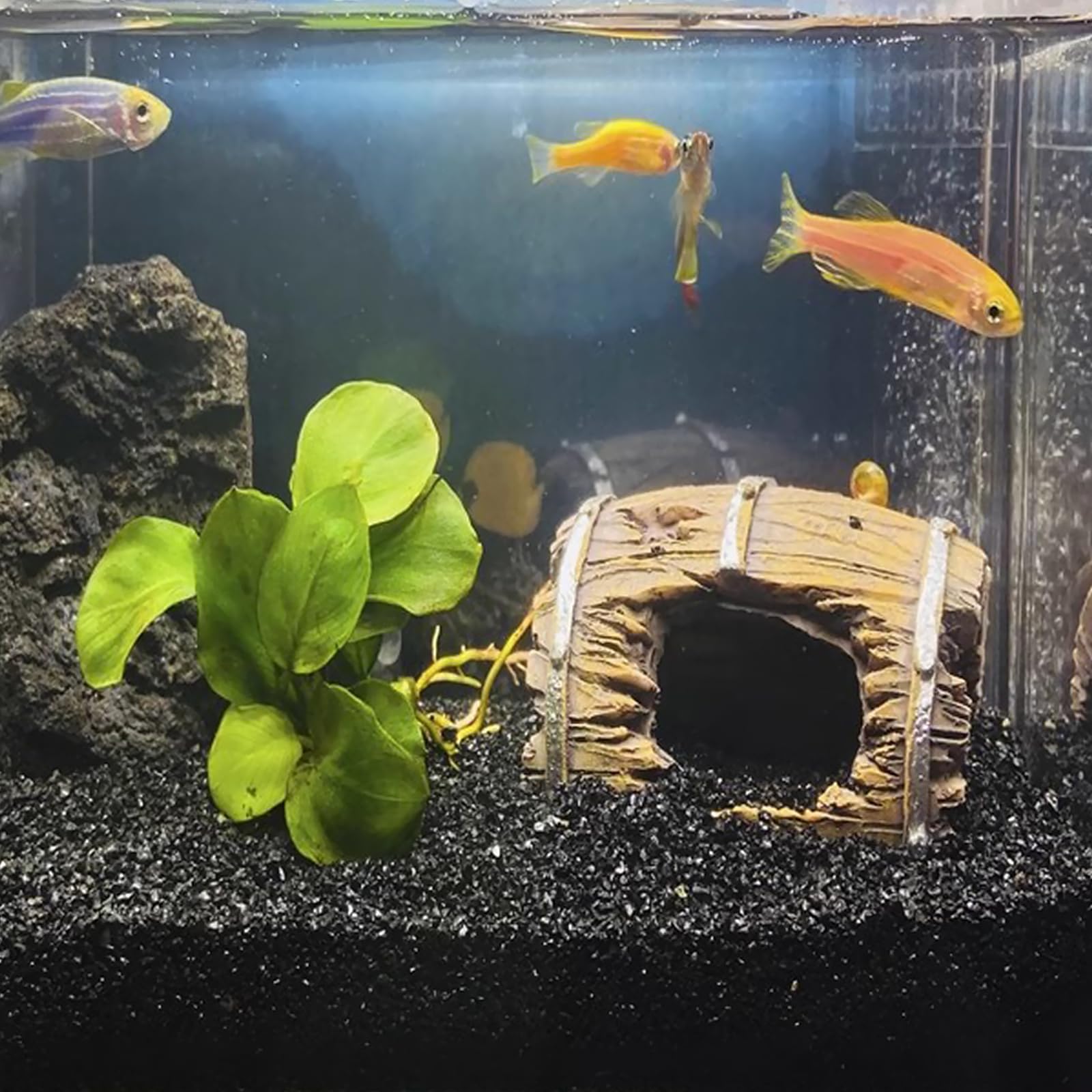 FANTIAN silica sand should be washed to remove dust before aquarium use