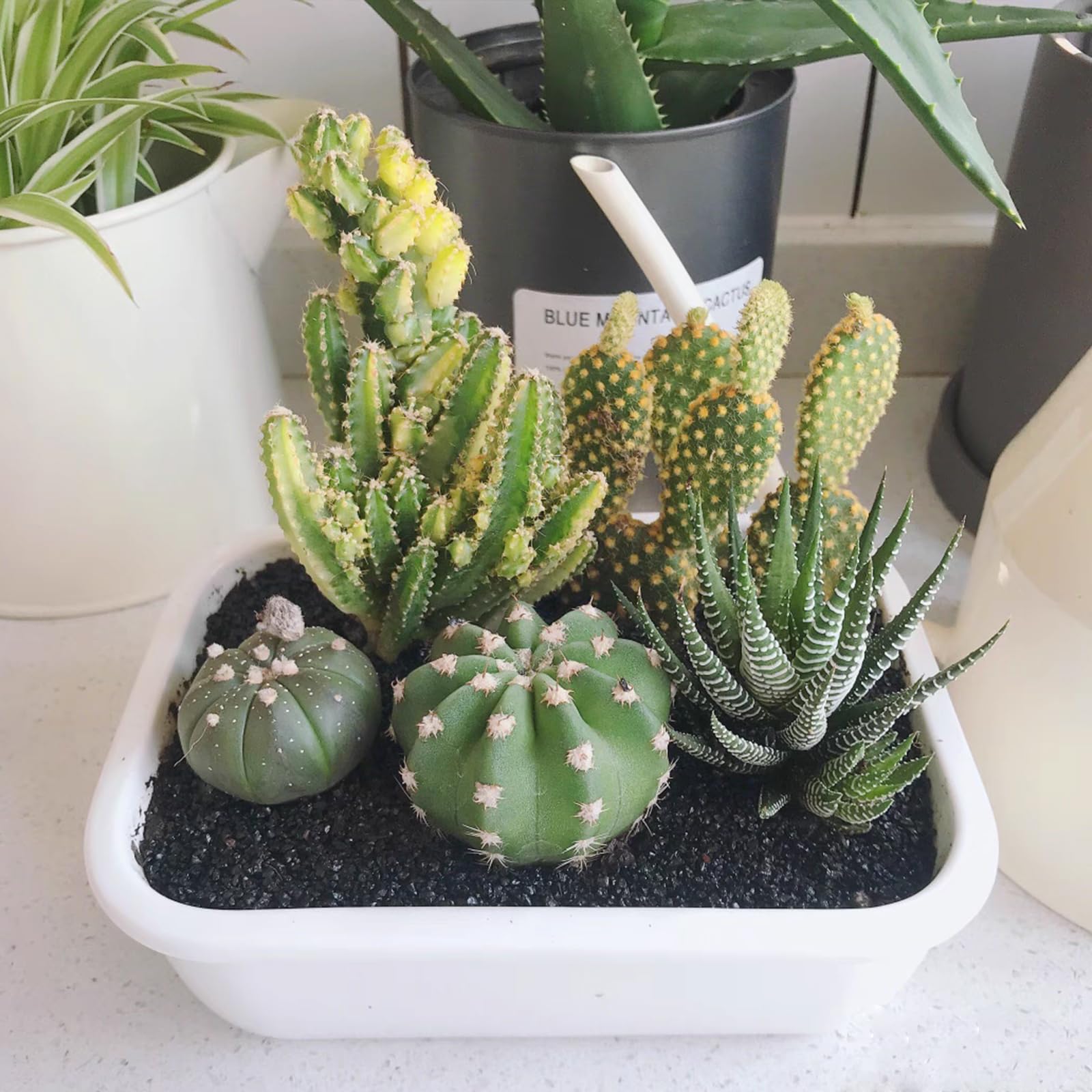 FANTIAN decorative sand doubles as craft filler for home accents