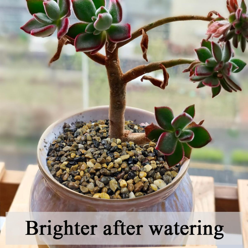 FANTIAN indoor plant terrarium pebbles aiding drainage and root health.