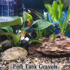 FANTIAN river rocks landscaping for garden beds and outdoor pathways.