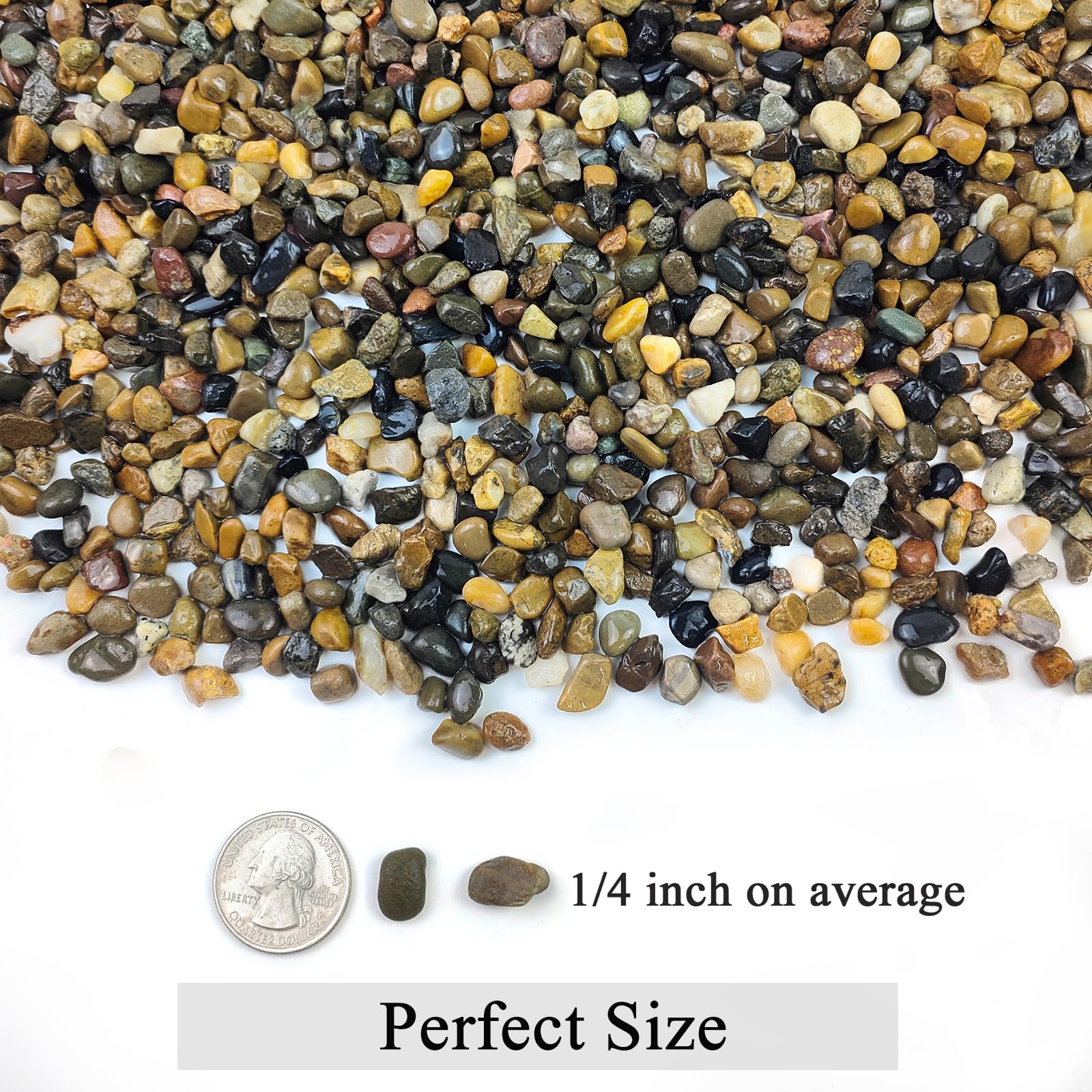 FANTIAN succulent gravel ground cover improving moisture balance in pots.